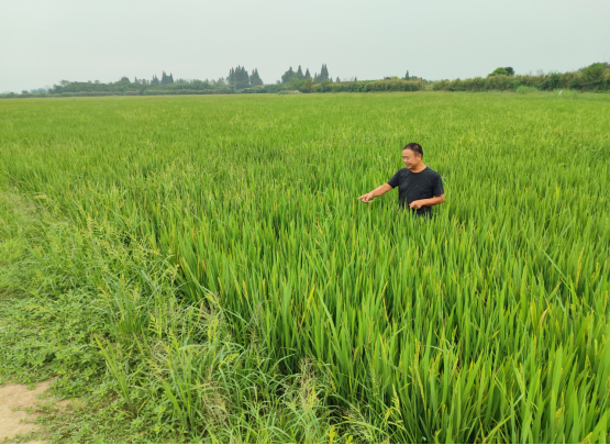 乡村振兴正当时 信贷支持“及时雨”